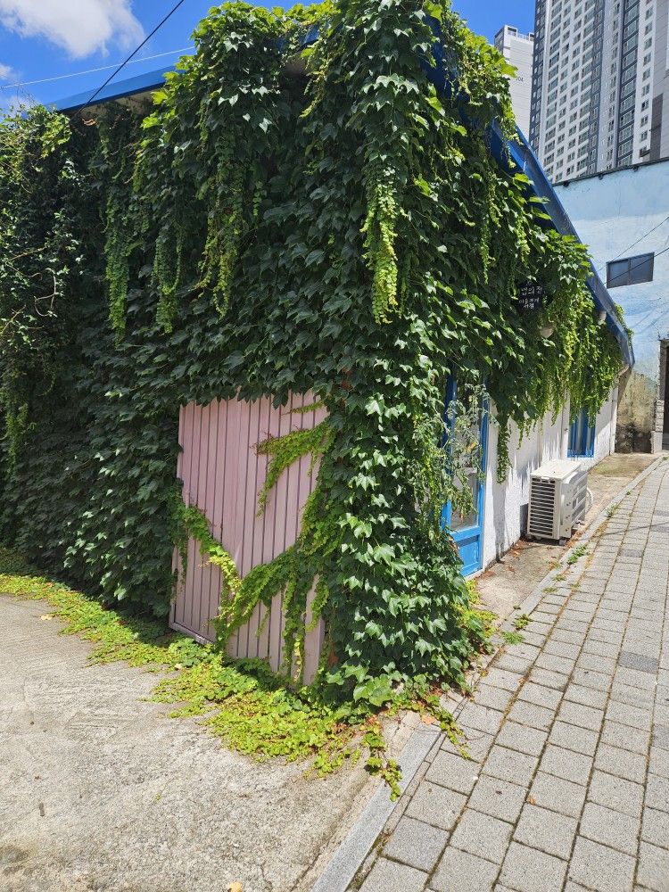 🧶부산 뜨개모임-그냥 뜨개해^^ 앨범 사진
