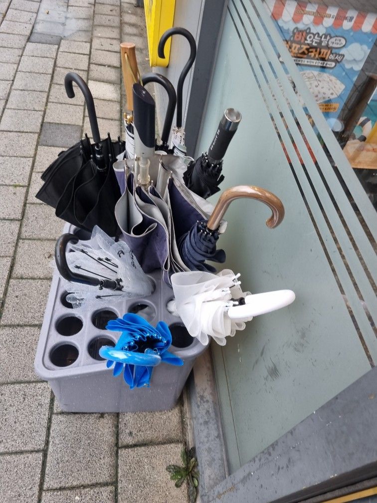 부담없는 동네 독서모임 앨범 사진