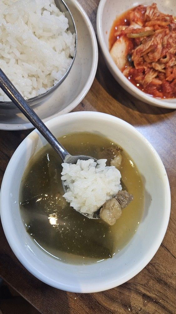 89~75 ☆소나무 🌲 한결같은 마음으로  앨범 사진