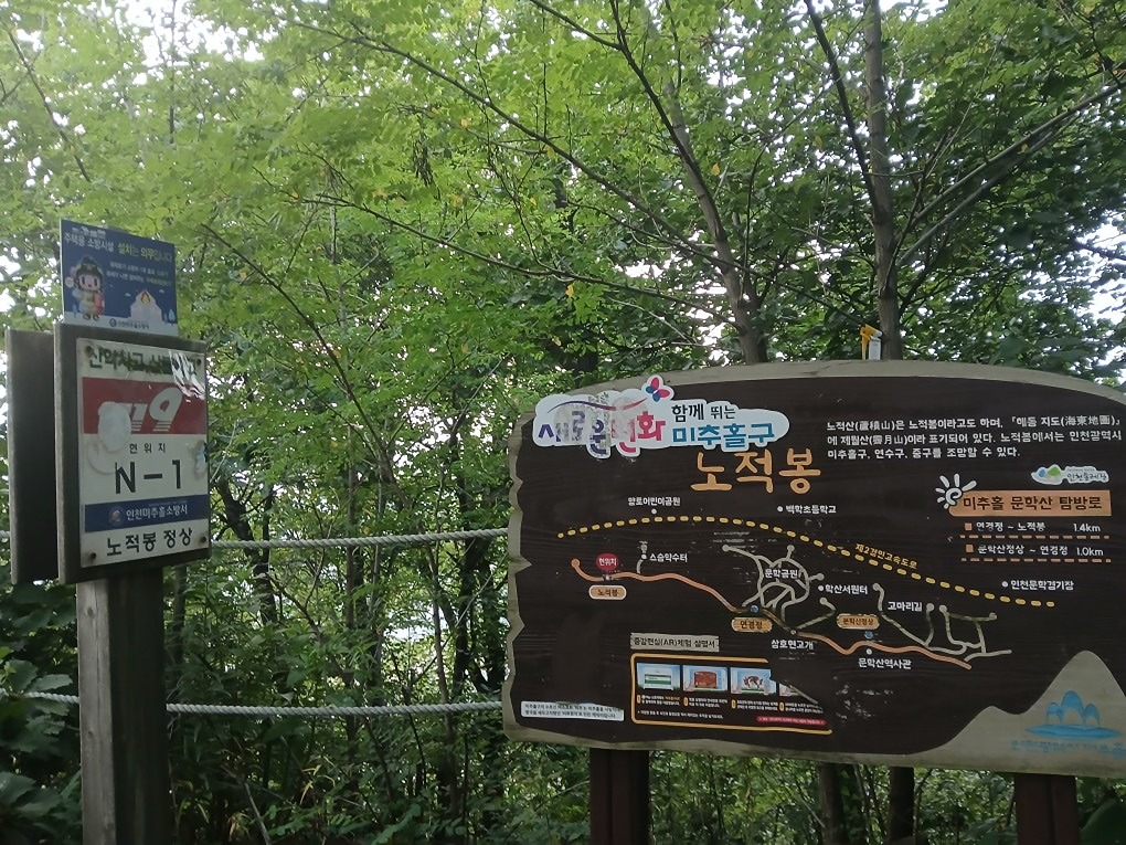♤매주 수요야등