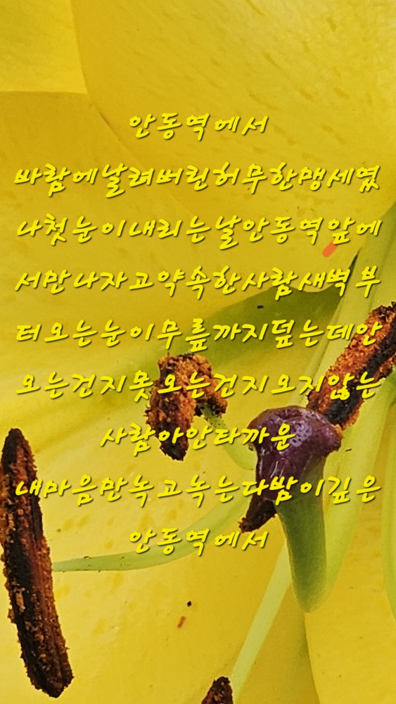 스트레스는노래로푸는게제일이죠