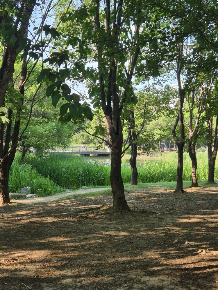 운동 인증 모임 💪 앨범 사진
