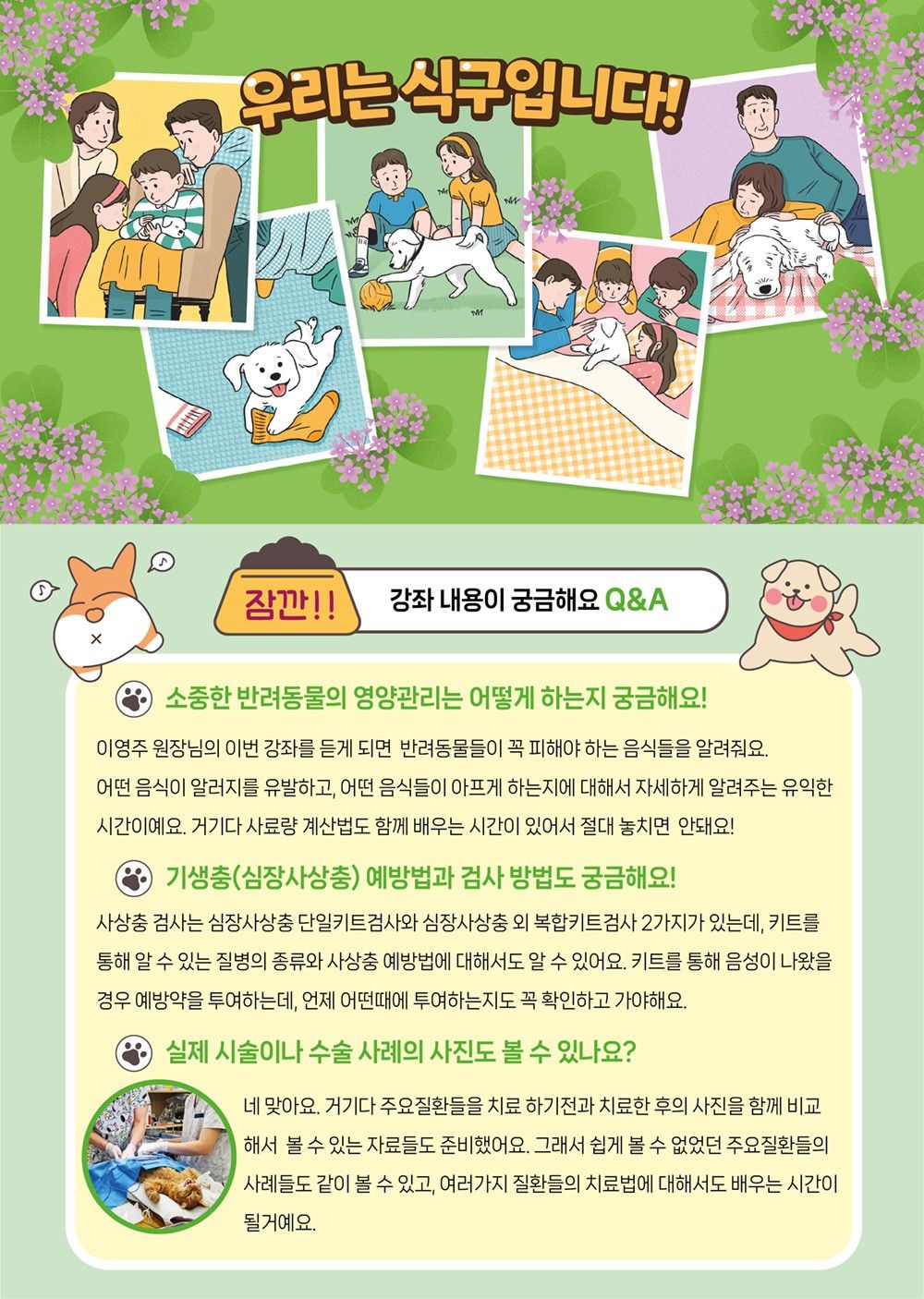 애견 집사들 모임임다 앨범 사진