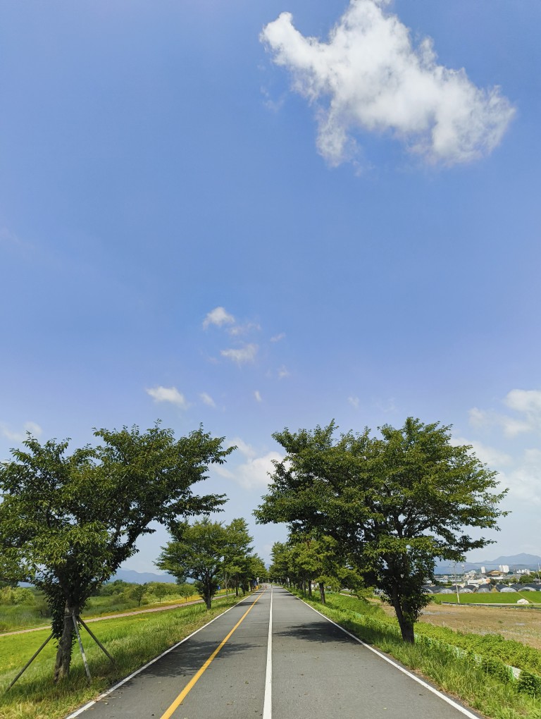 이번 주 걷뛰 산책 기록

비가 그쳤을 때 천천히 뛰고. 걷고.
러닝화는 바닥이 다 닳아서 소소하게 질렀네요.
생각보다 이뻐서 대만족 ~^

이제 무더위가 또 올거 같아서 운동량이 많이
떨어질거 같아요