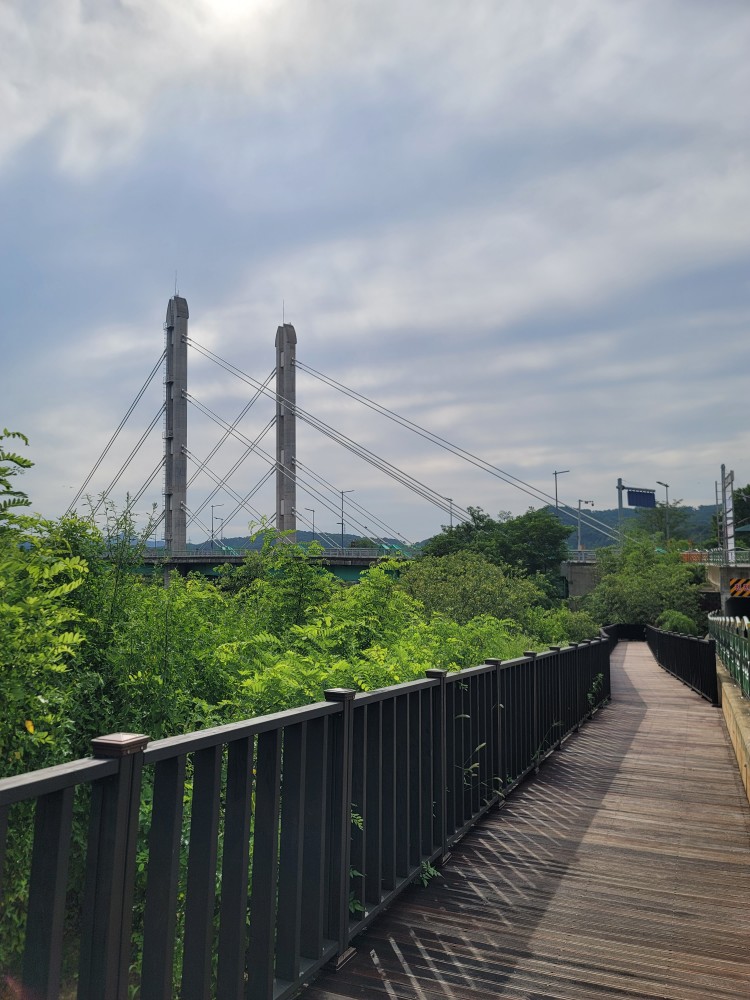 금주 17일
