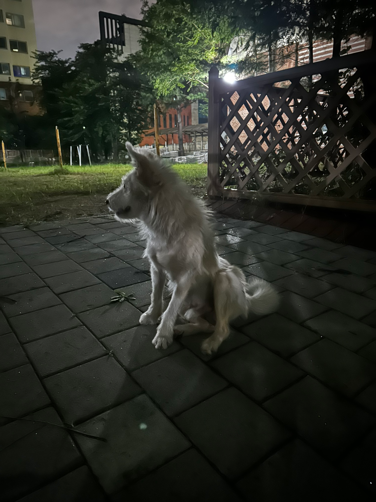 Post image 5