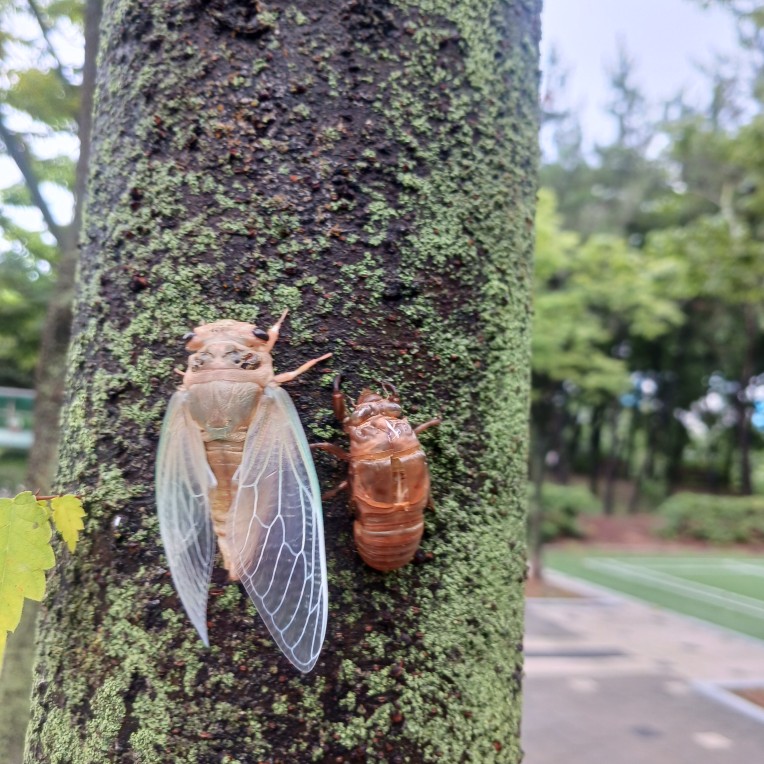 지금 동내공원풍경
