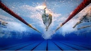 더운데 수영하러 가요!🏊‍♀️🏊‍♂️🩱✨️