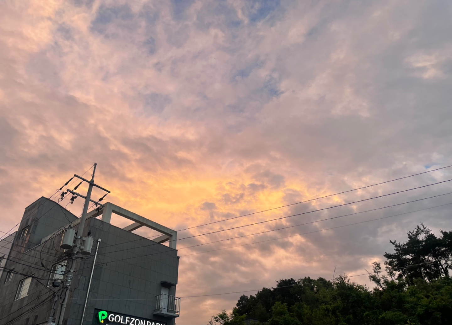 월요병 타파 산책하실분🙂
