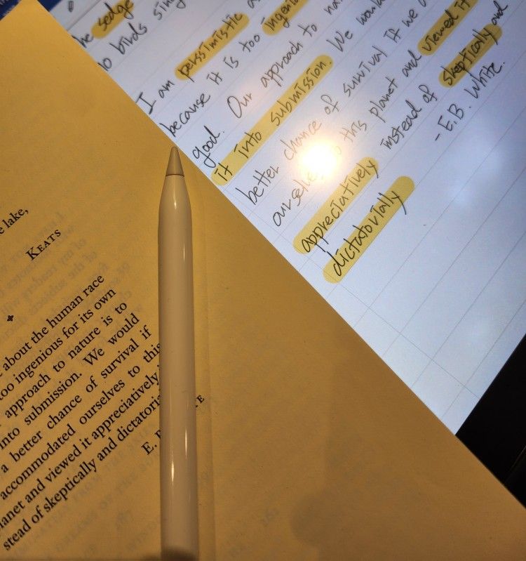 🌿ECO&ENGLISH 착한 북클럽📚 앨범 사진