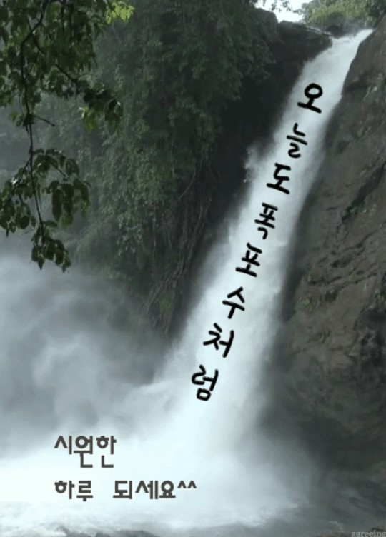 #아침산책 
🧊월요일! 날씨는 덥지만~
마음만은 시원하게 출발합시다!🧊
지난주 엄청나게 내린 폭우로
힘들고 답답하신 분들 많으실텐데요
시원한 물줄기 보시면서
온에어 횐님들이 잠시라도 답답한 마음과 더위를 
식힐수 있는기분좋은 하루였으면 좋겠어요~ *^^*
새로운 한주~♥
마음만은 시원하게 출발합시다!