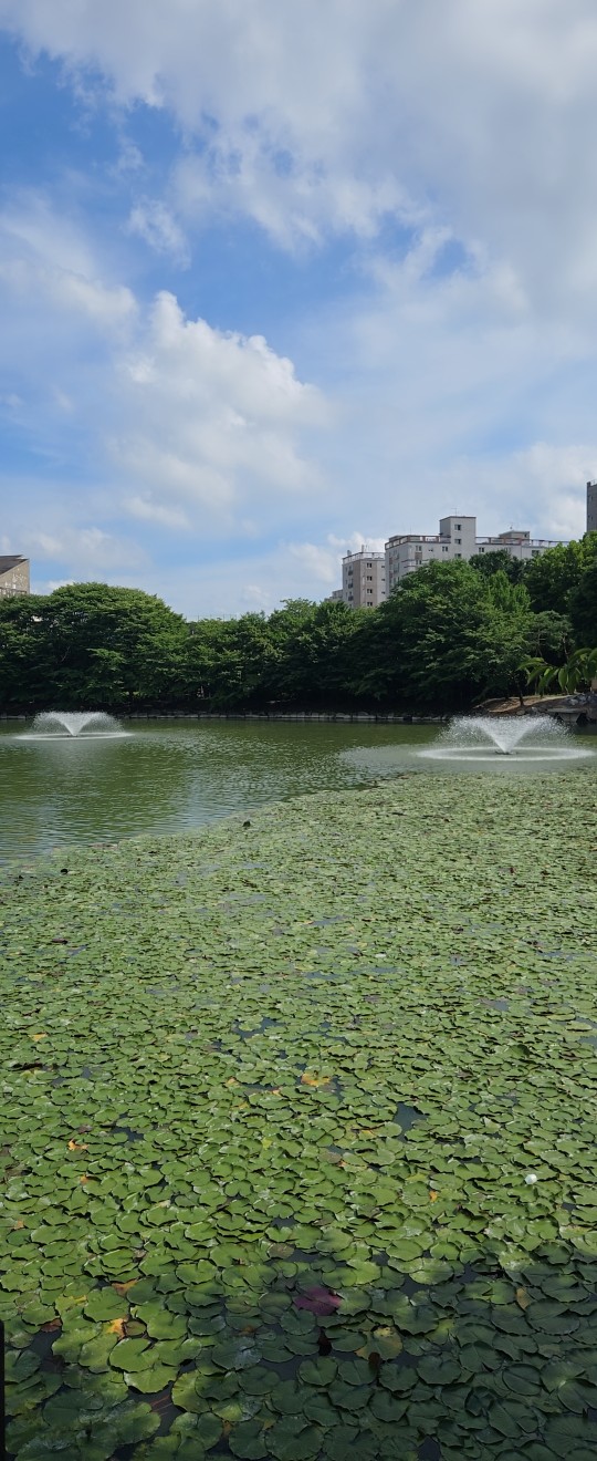 하얀색!!^^마음이 정화됏어요