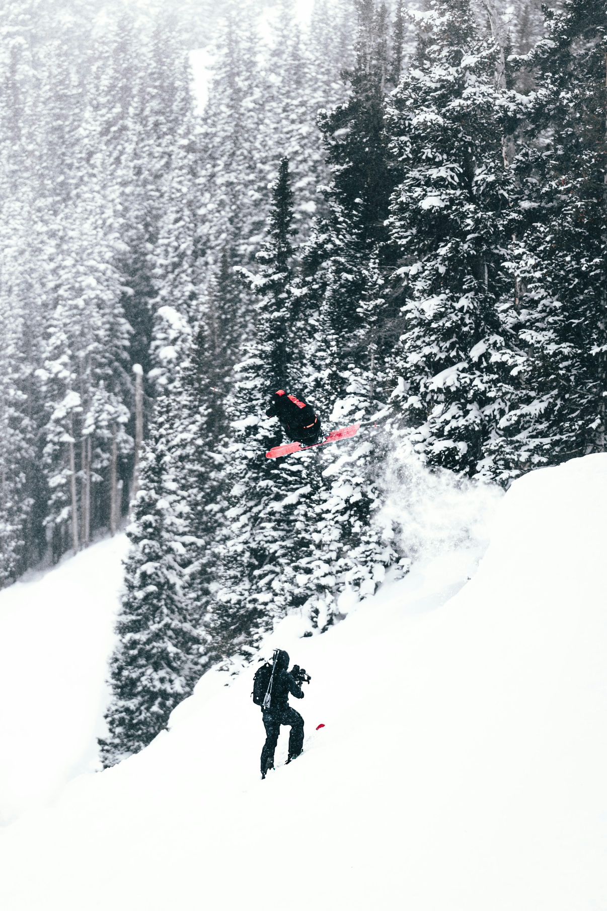 🎿SNOWBOARD & SKI🏂 앨범 사진