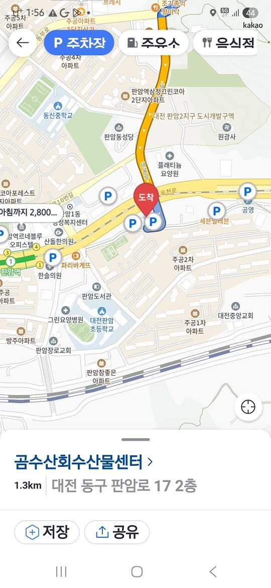 점심 번개팅  곰수산