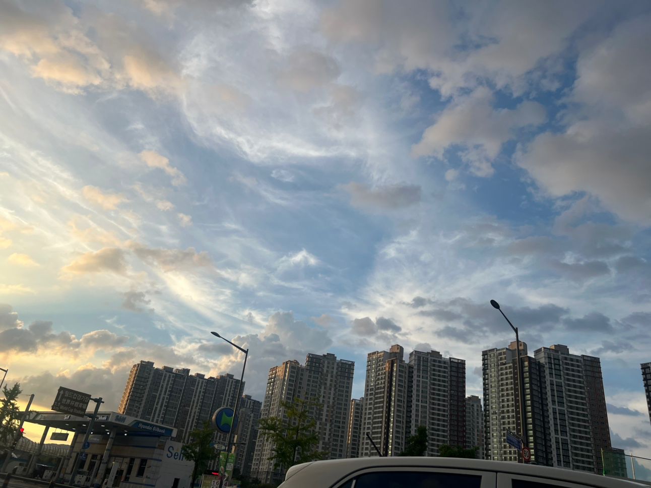 에겐남녀 탐구생활🙋‍♂️🙋‍♀️ 앨범 사진