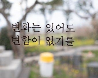  💏 정들린 💜  연애 🌷  앨범 사진
