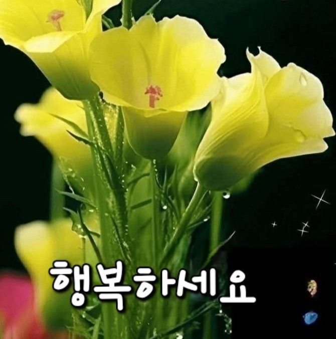 5060 향기로운 방(75년생부터 59년까지 앨범 사진
