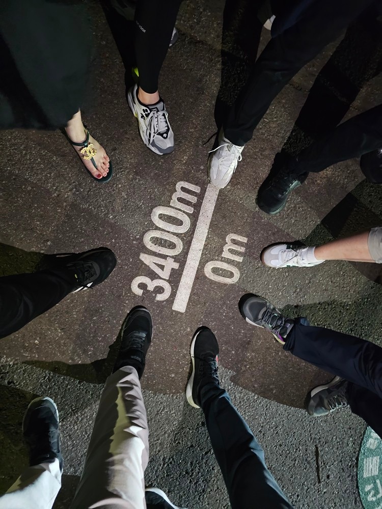 남산 둘레길 산책 🙋‍♀️🙋