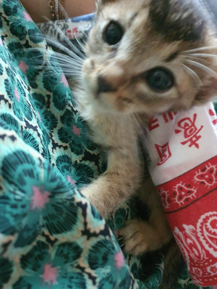 귀욤이~~