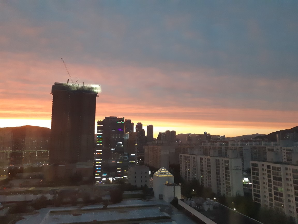 기장밤바다 번개모임