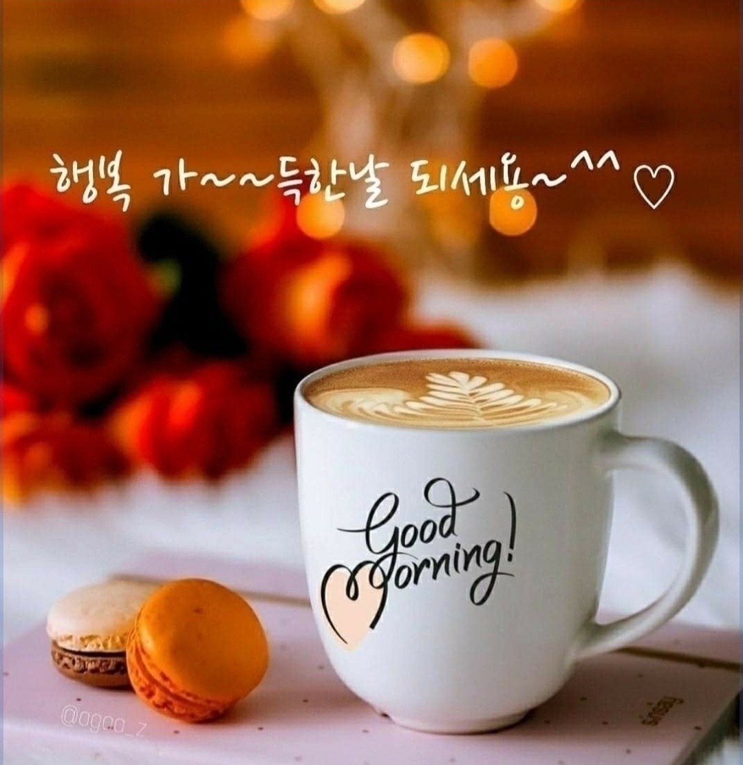 용운동 메가에서 커피마셔요