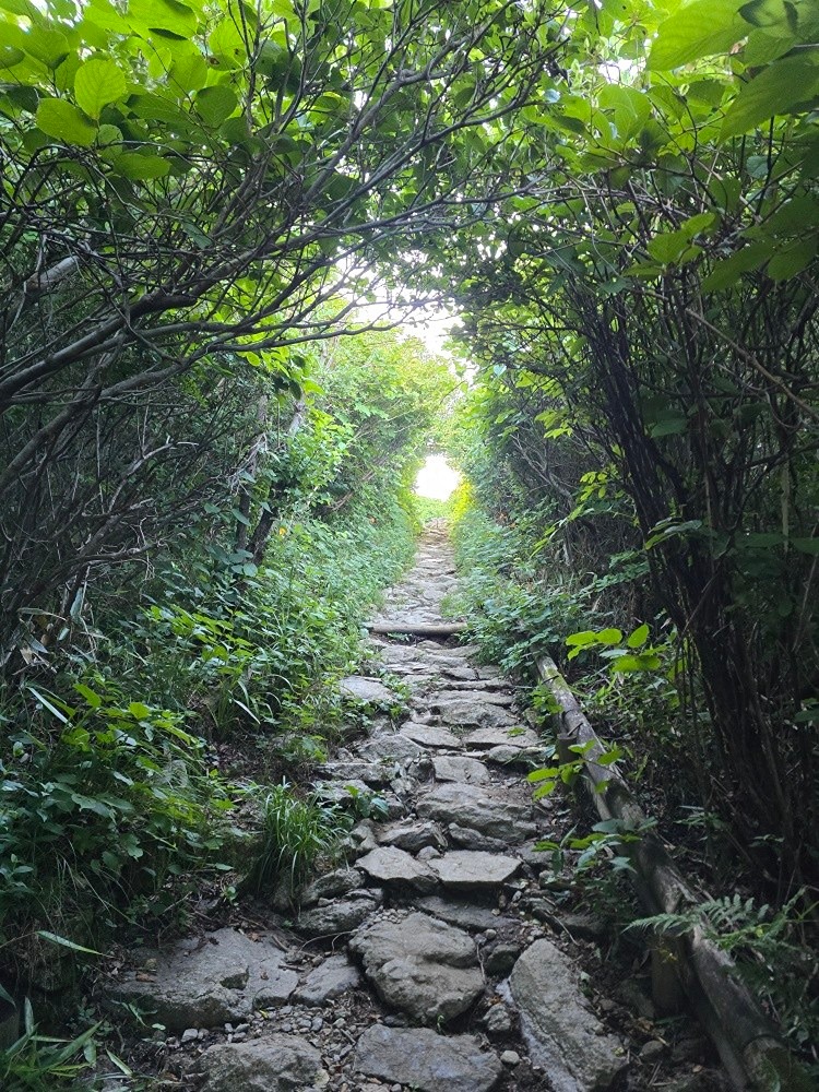 일요일엔 무봉산~