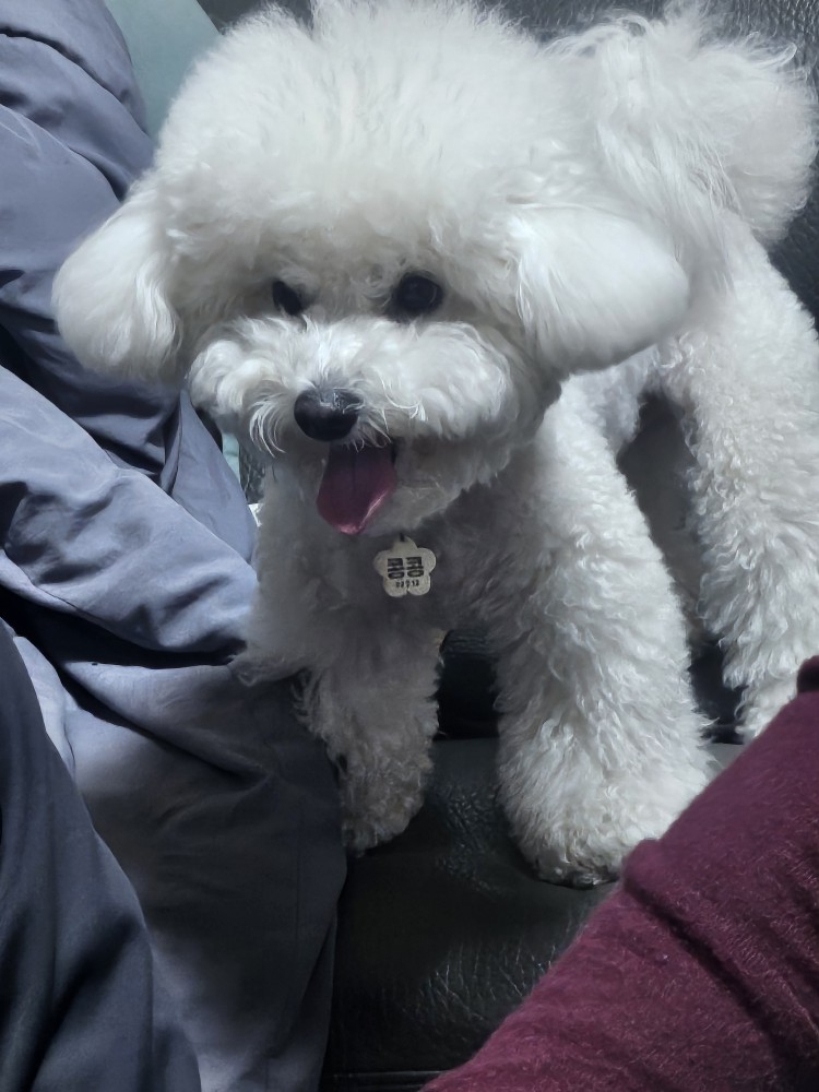 안녕하세요 반가워요🤗🤗