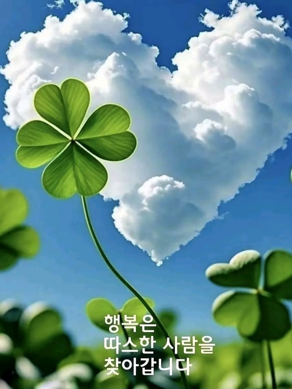 오늘도 태양볕이 장난이 아니네요
건강 관리들 잘 하시구요
출첵합니