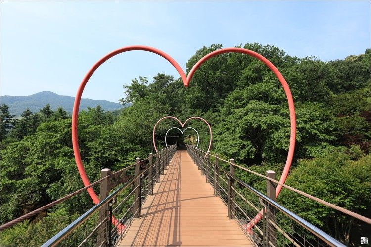 떠나요! 즐거운 여행