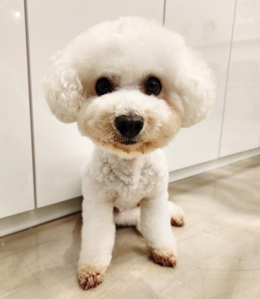 반려동물문화복합센터 반함