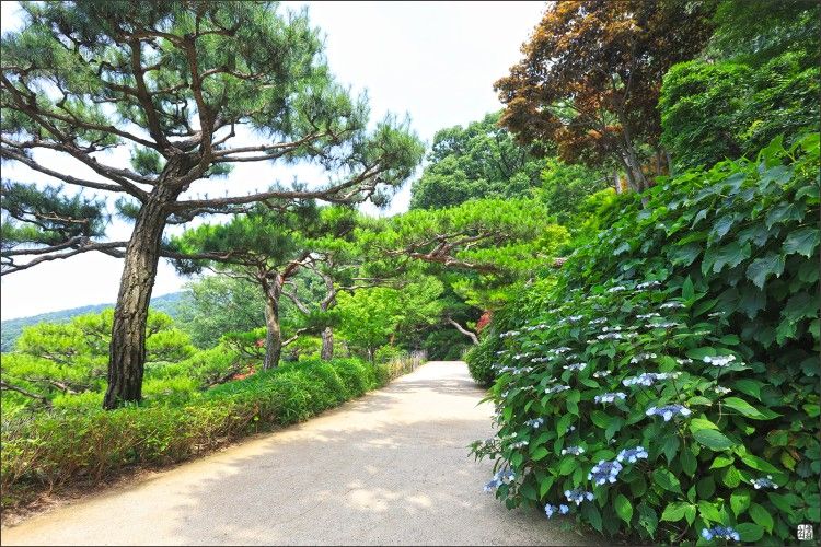 떠나요! 즐거운 여행 앨범 사진