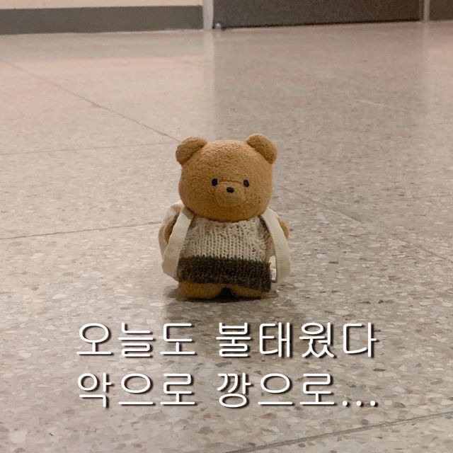 🎳대굴대굴🎳 앨범 사진