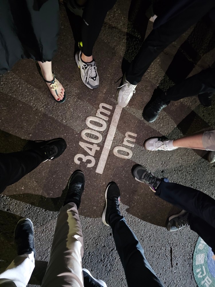 남산 둘레길 산책 🙋‍♀️🙋