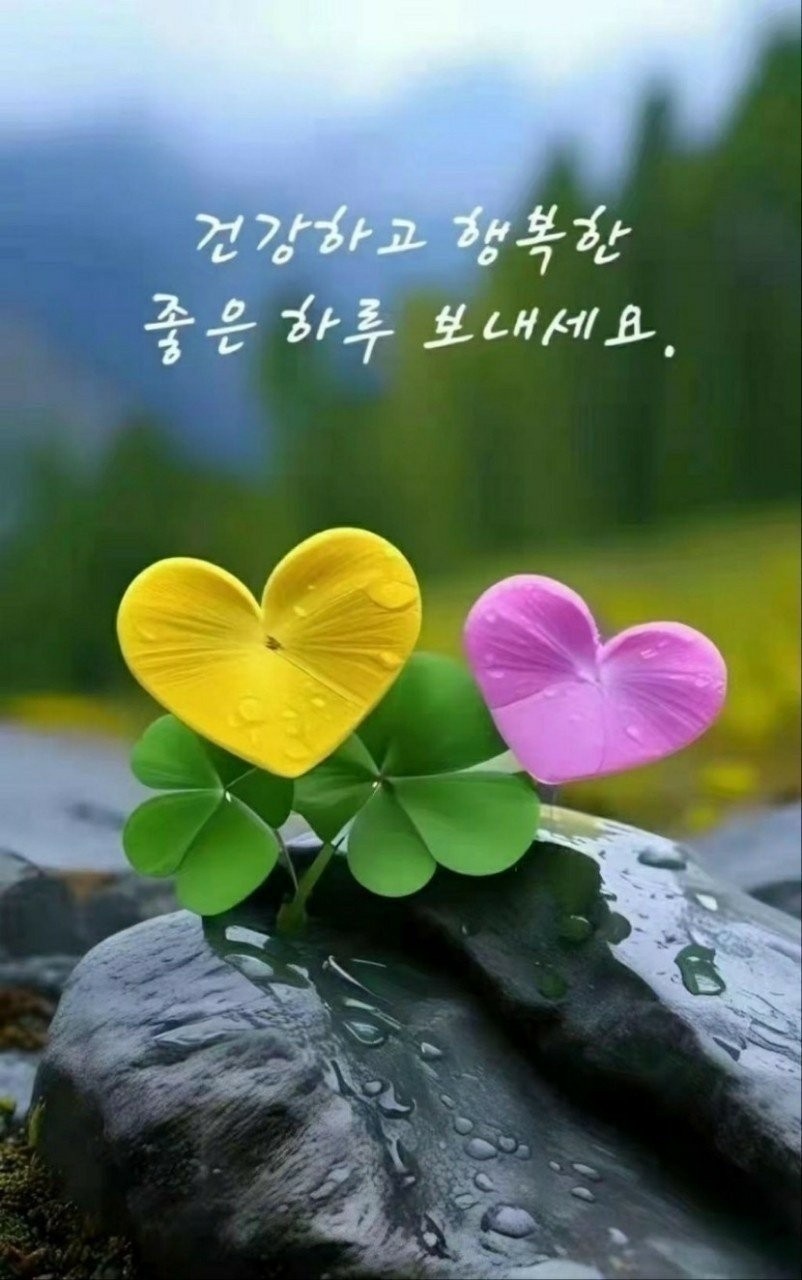 8월 첫날 행복하게 시작하세여