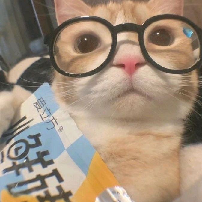 (20~25) 친해질 대학생 😎 앨범 사진