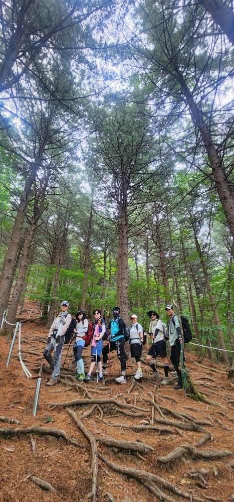 산타자GO/등산동호회/초보가능