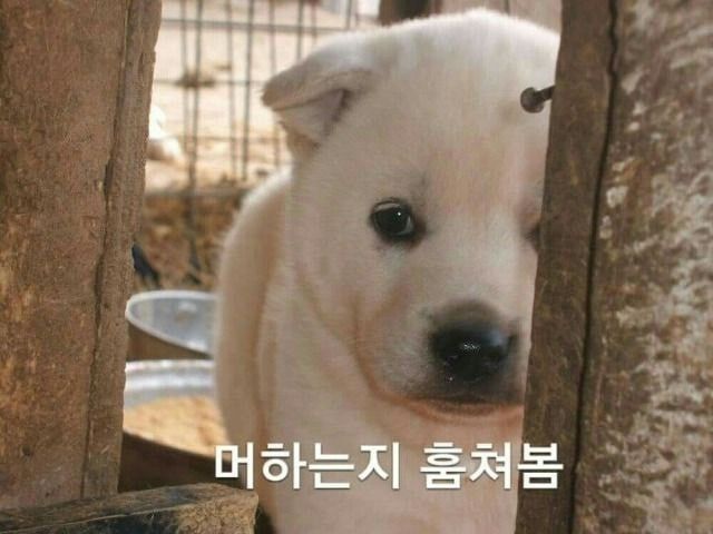 왕코�인노래방에 가는 모임 앨범 사진
