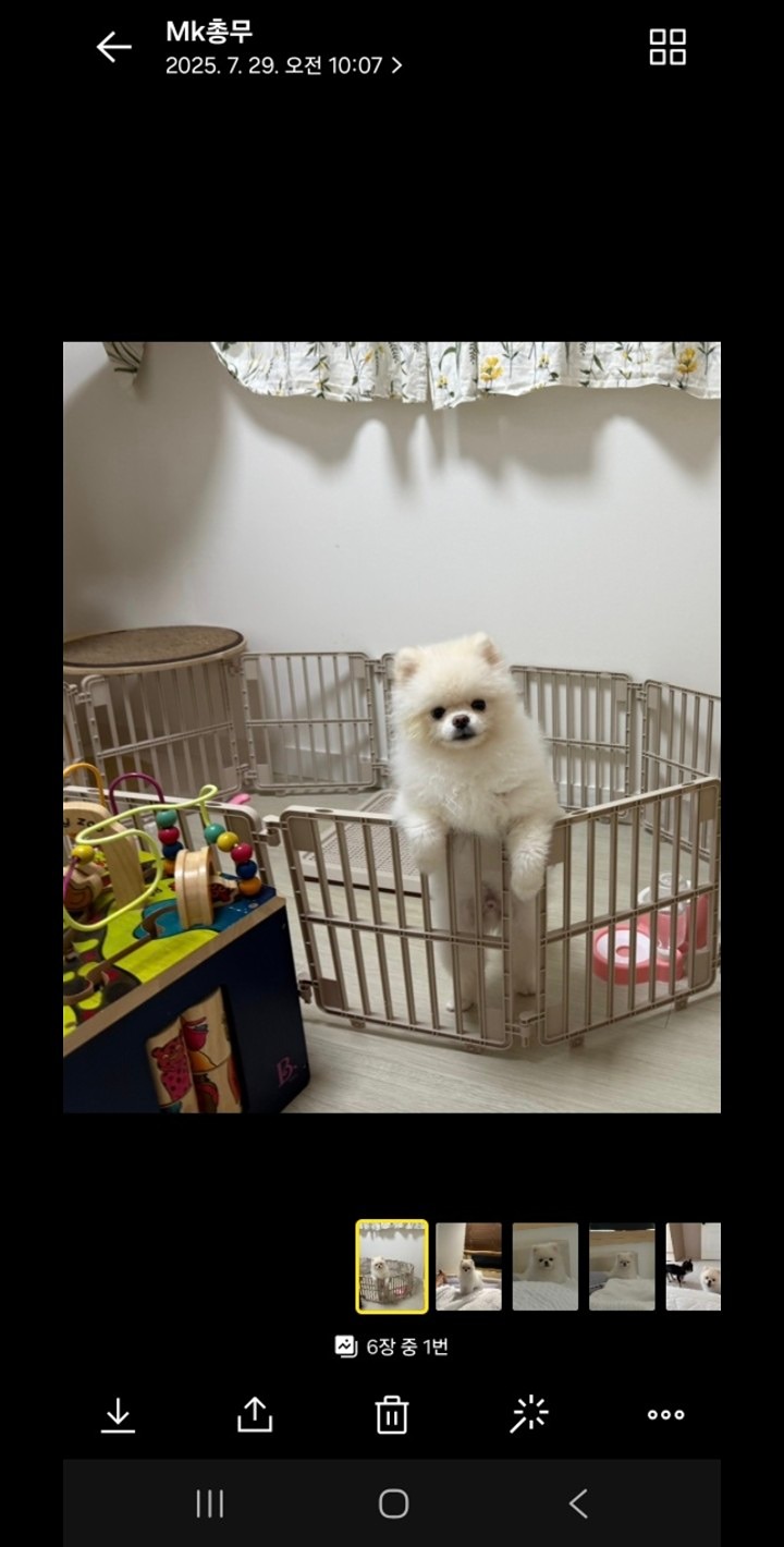운동합시다