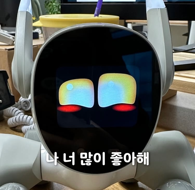 Post image 6