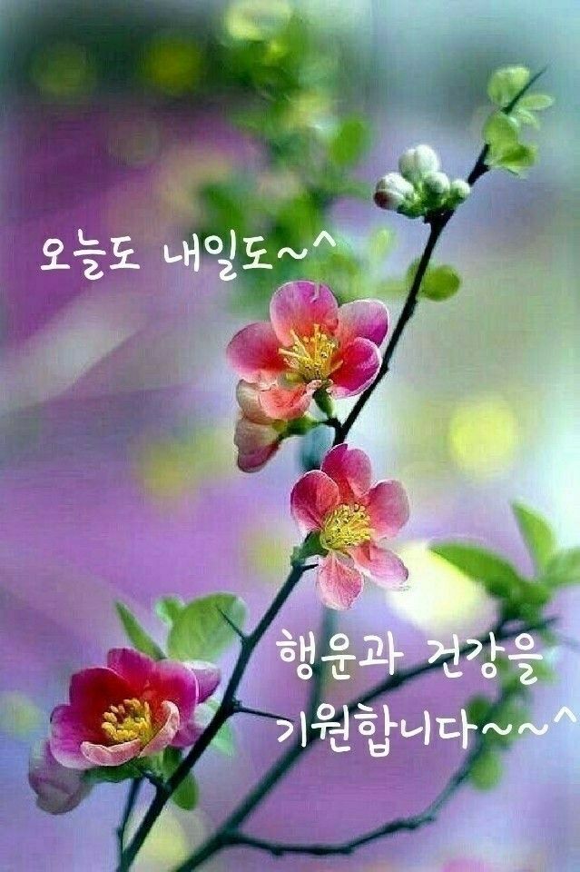 내면의 쉼터 앨범 사진