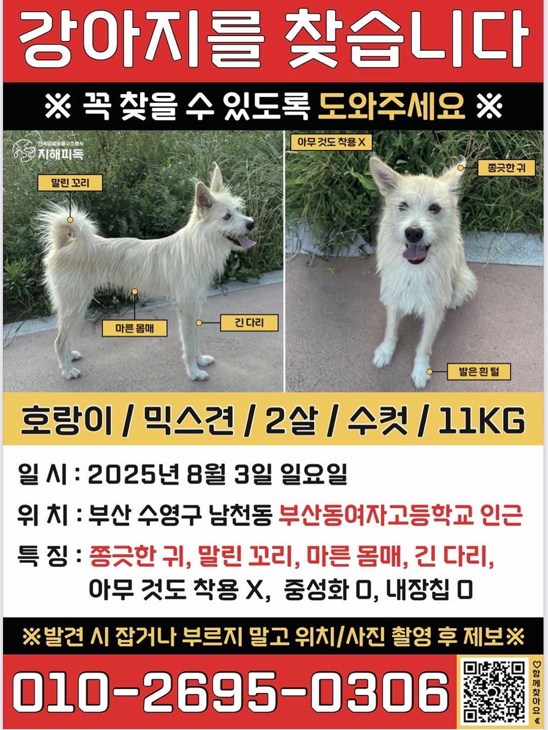 여러분!
강아지를 찾습니다!
마지막 목격지는 대연역1번출구라네요
누렁이랑 같이 다닌다는데
근처지나가실때 눈여겨 봐주시길 바래요🙏🏻