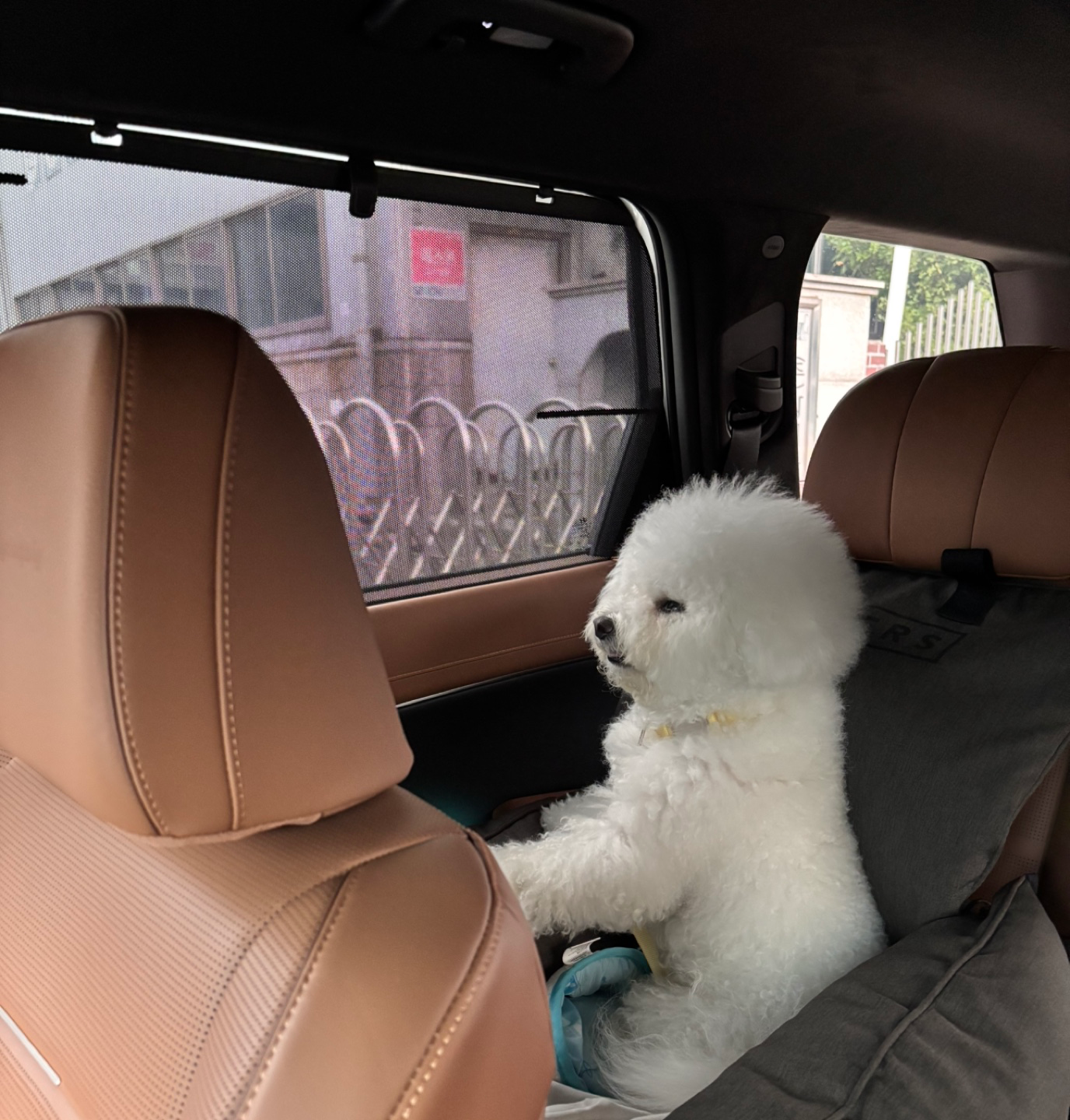 애비기다리는 뚜둥이입니다ㅎㅎ