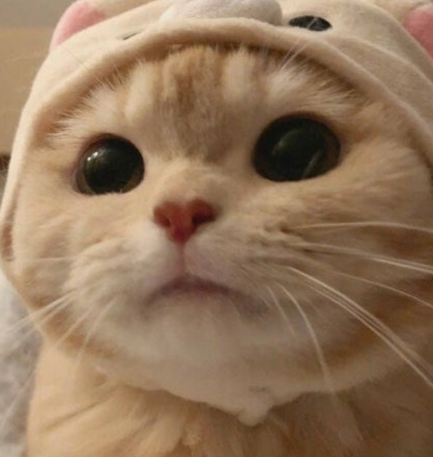 수요당구(with깜상님 머슴님 ~~)