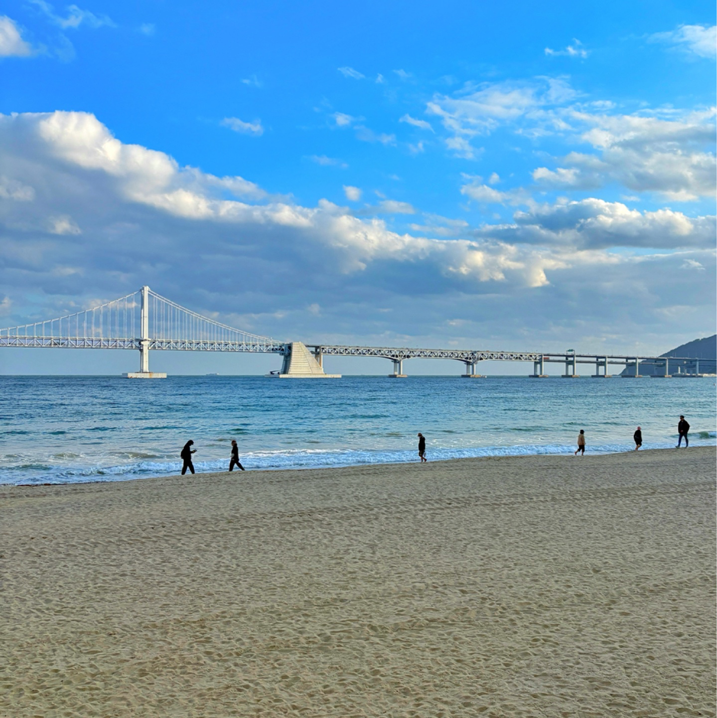 [8월] 정기모임 ⛱️