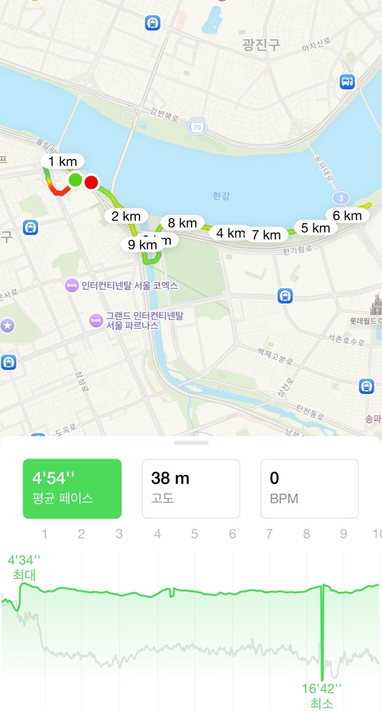 [소소런]각자 뛰고 인증해요. 앨범 사진