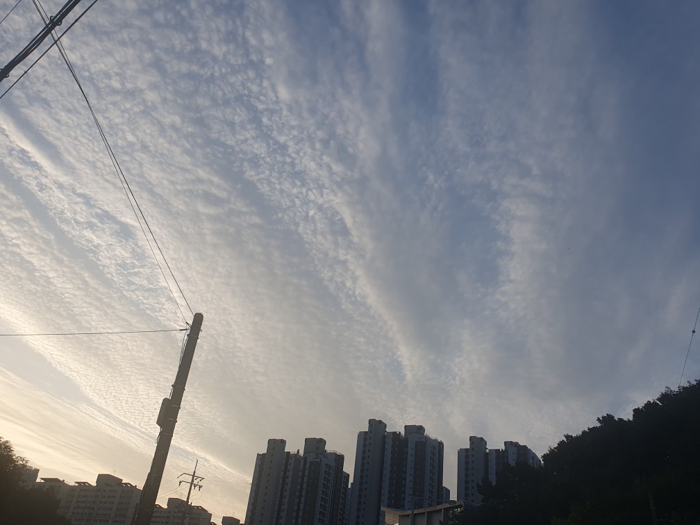 삼정그린코아 하늘