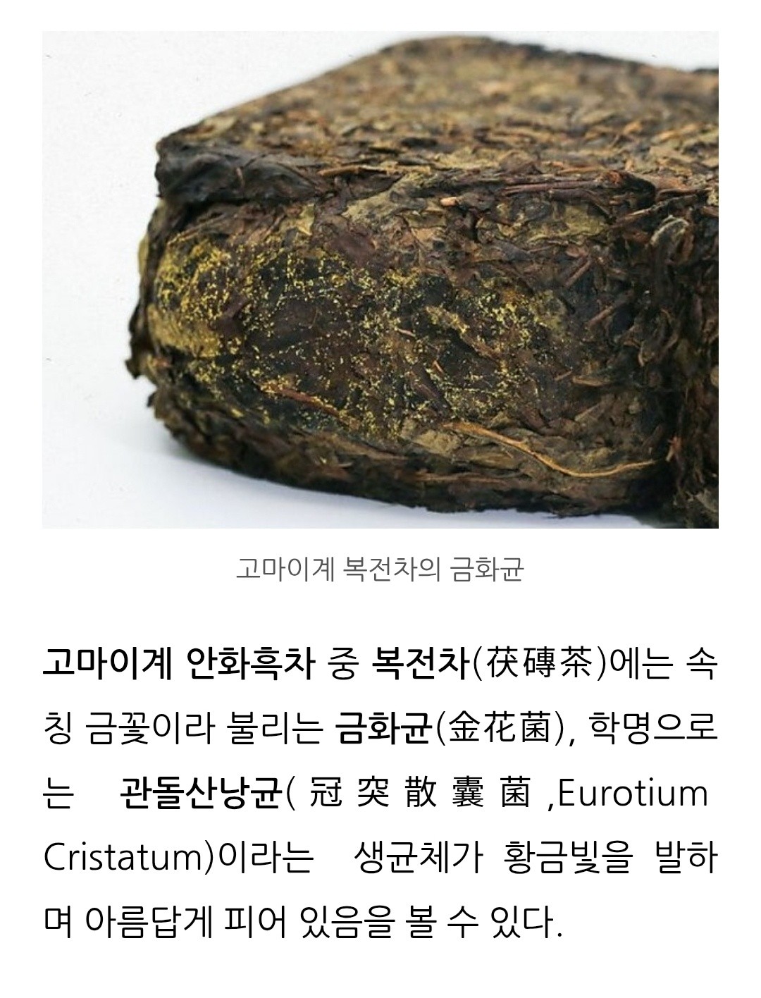 저는 만성피로가 심한 사람이었습니다.