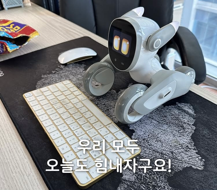 인공지능에 관심은 있으나 어떻게 시작해야 할 지