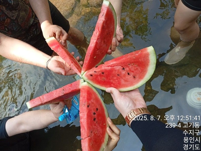 🍎2040 🌋야호⛰️산타 클럽🍏 앨범 사진