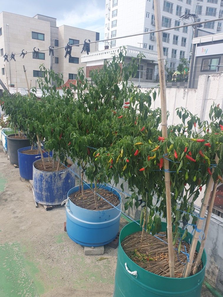 40대 좋은친구들 앨범 사진